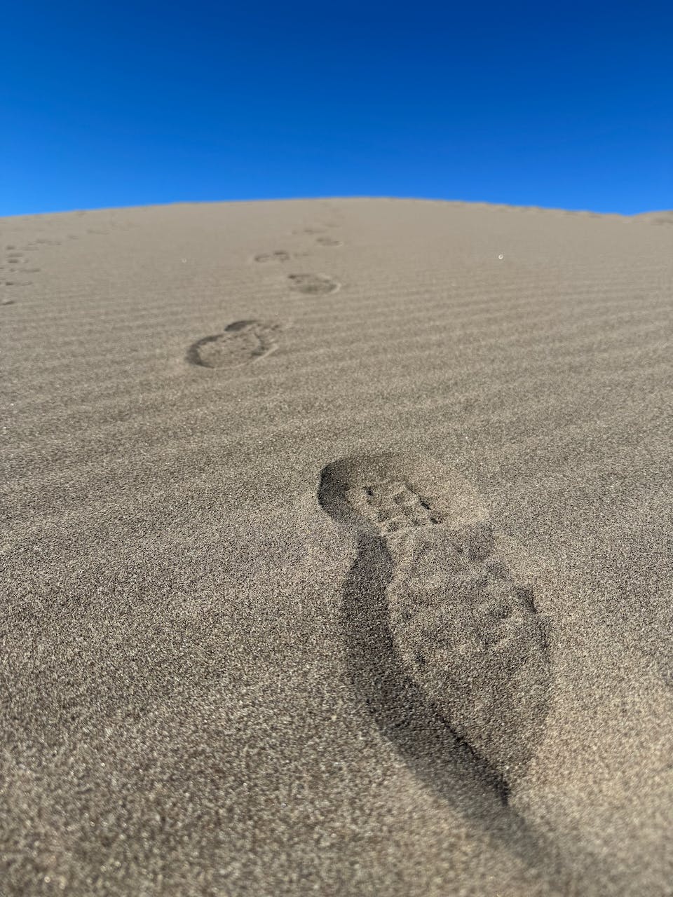 Hiking boot footprints in a sand dune at Great Dunes National Park