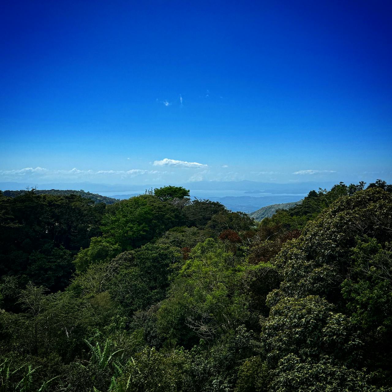 View of the Nicoya Gulf and Peninsula, from Monteverde. Blue sky, lush jungle.