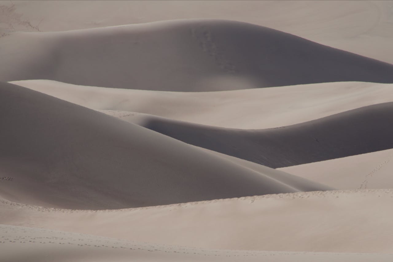 A close up shot of the massive golden dunes at Great Sand Dunes National Park